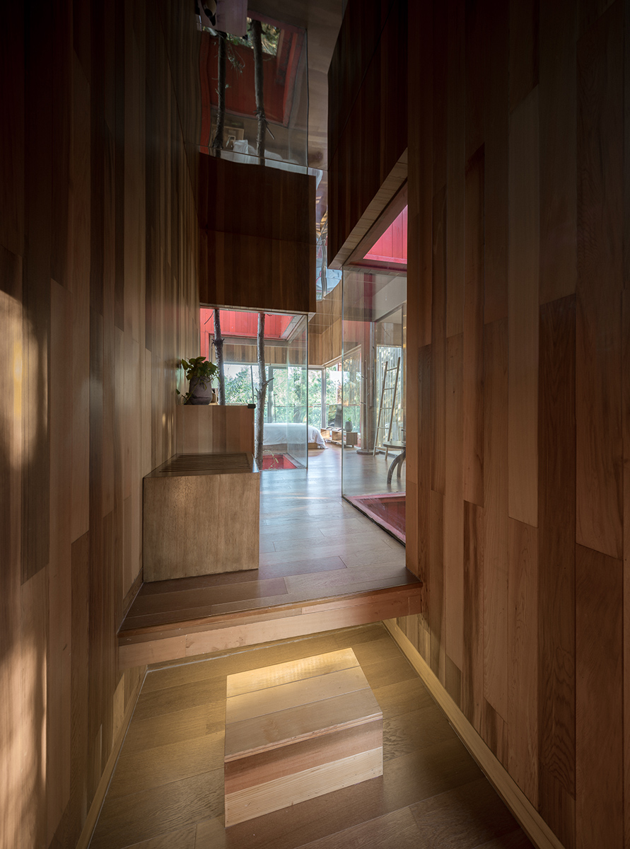 Longhouse among pine trees By Wuyang Architecture