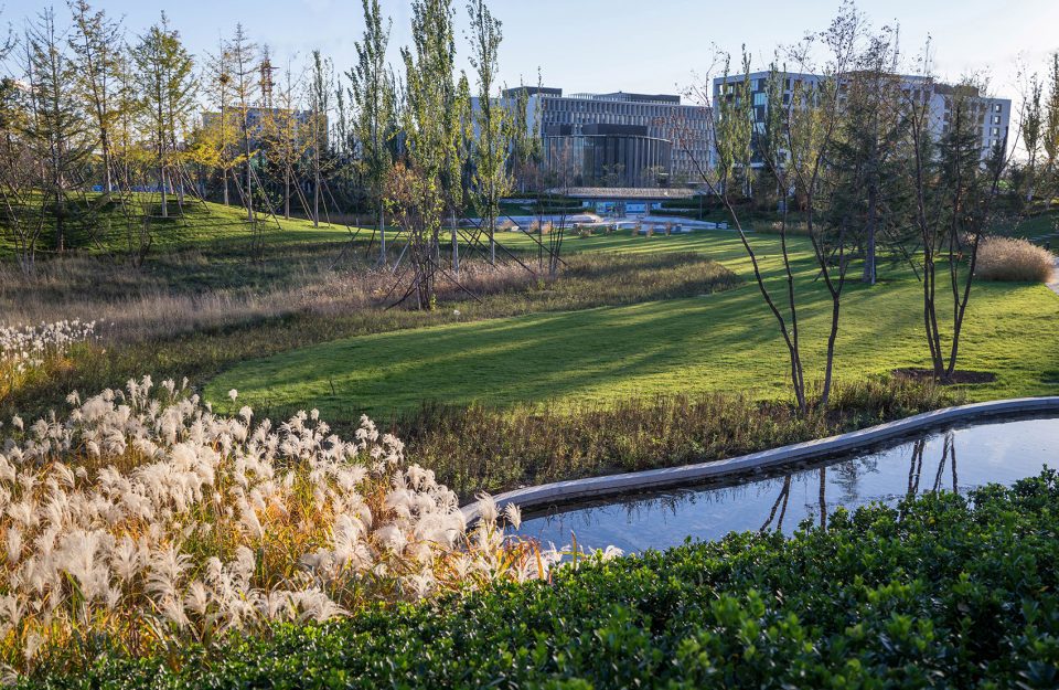Core Green Space in Beijing Insurance Industrial Park