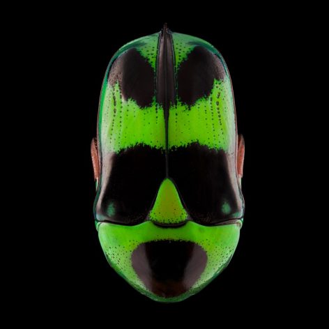 Mask Totem by Pascal GOET