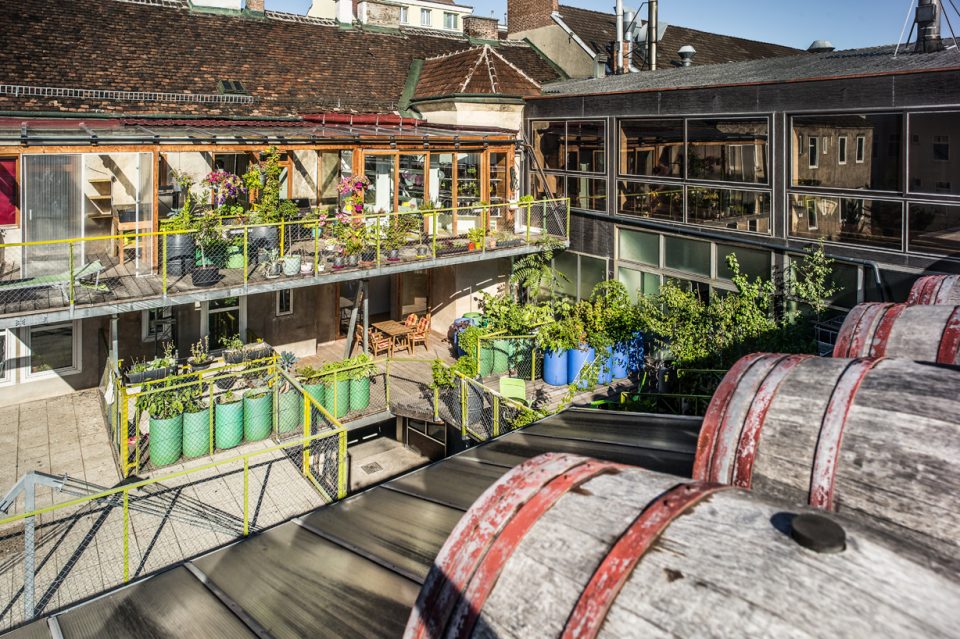 Wiener Essig Brauerei Viennese Courtyard Landscape and Noble Sour Store by herisalli