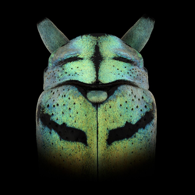 Mask Totem by Pascal GOET