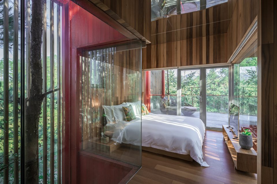 Longhouse among pine trees By Wuyang Architecture