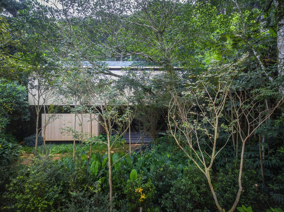 Jungle House by MK27