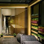 Jardín住宅，墨西哥 / ASP Arquitectura Sergio Portillo