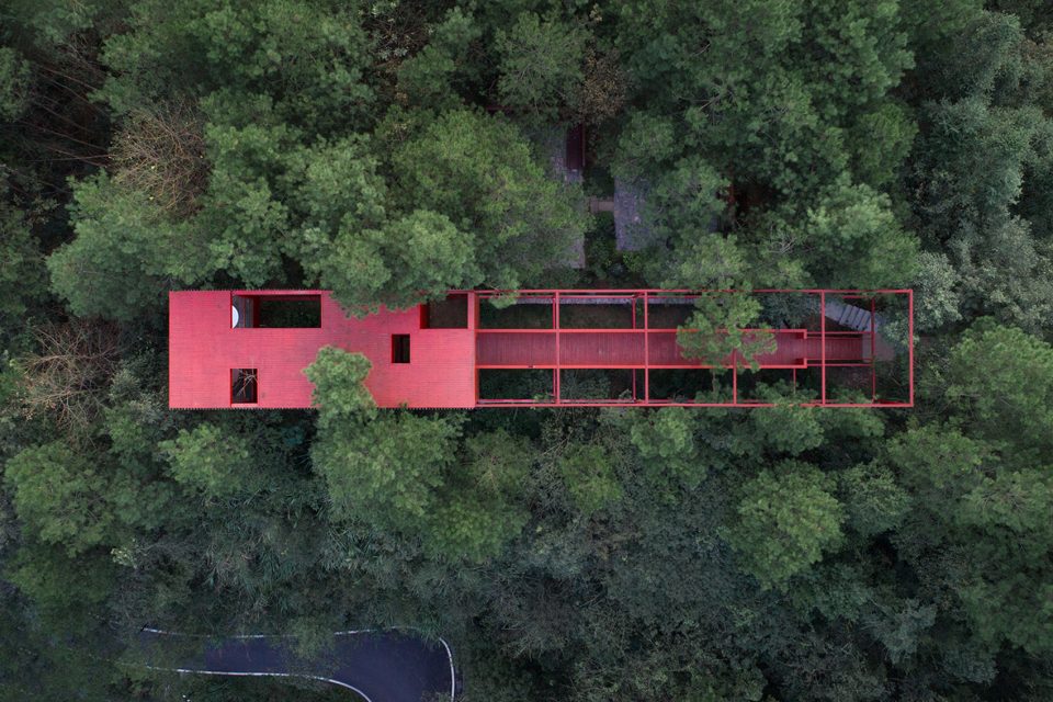 Longhouse among pine trees By Wuyang Architecture
