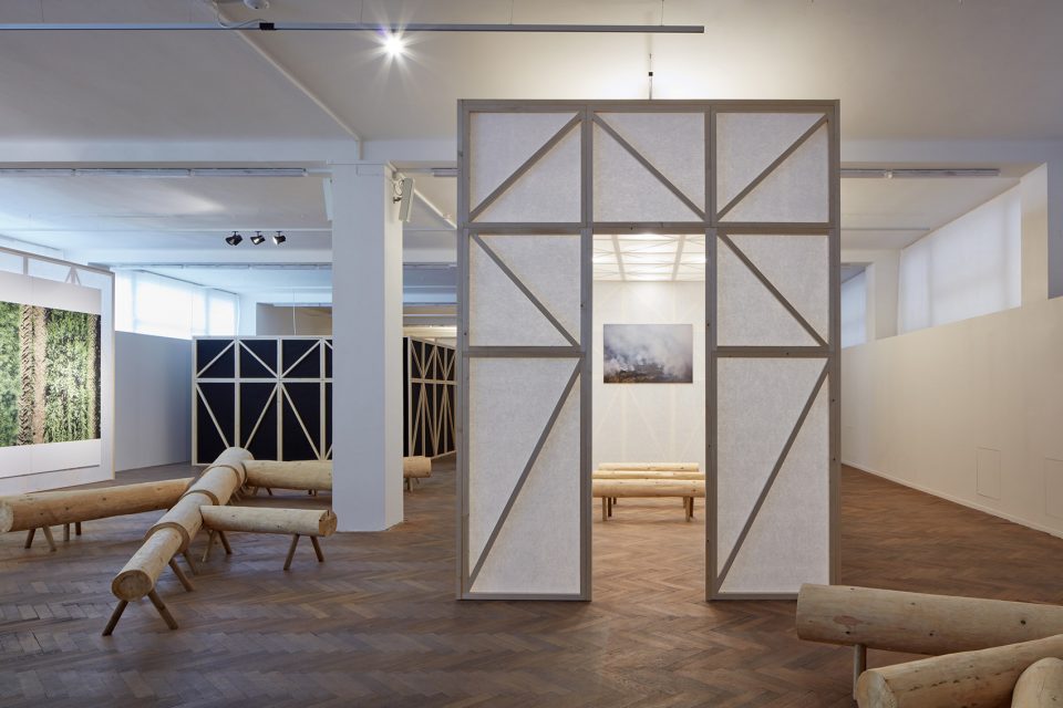 making of a forest exhibition design by mjolk architekti