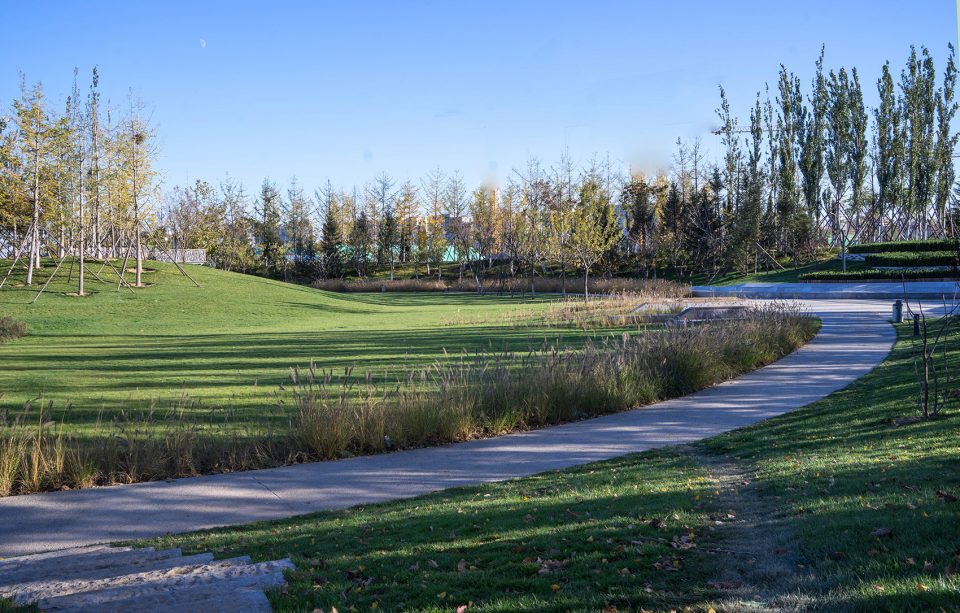 Core Green Space in Beijing Insurance Industrial Park