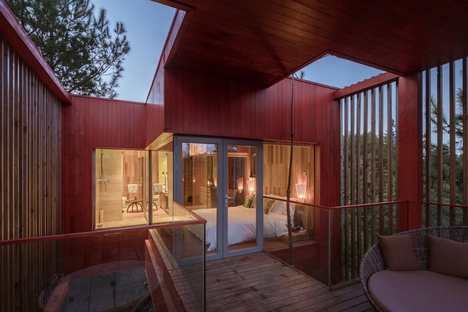 Longhouse among pine trees By Wuyang Architecture