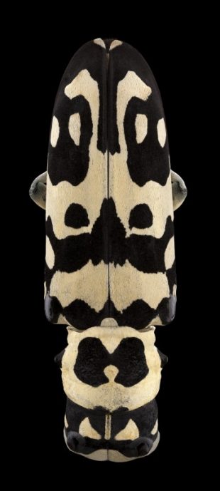 Mask Totem by Pascal GOET