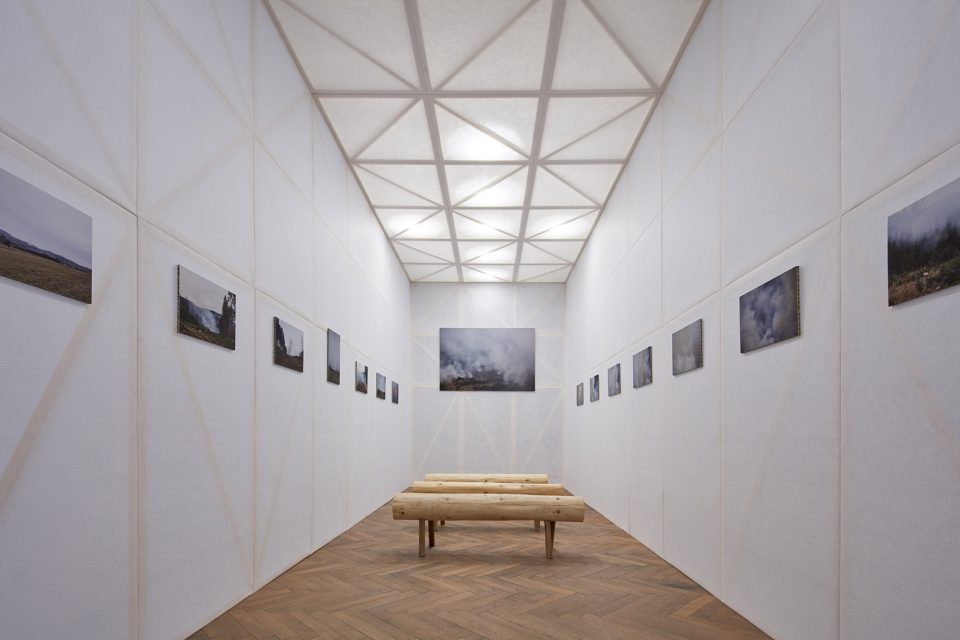 making of a forest exhibition design by mjolk architekti