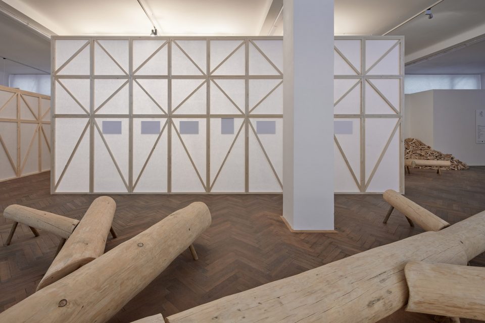 making of a forest exhibition design by mjolk architekti