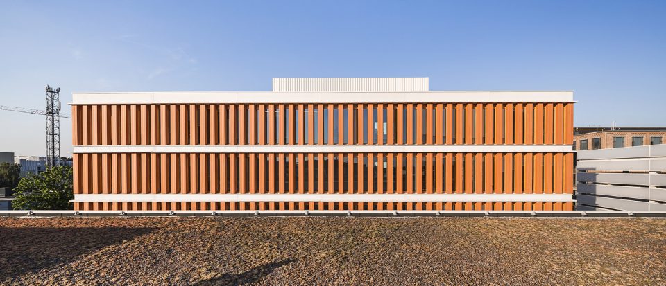 THE DOGE building by Atelier TARABUSI