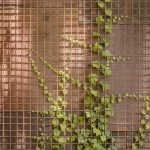 马德里网球学校后勤建筑 / BETA.ø architecture office