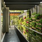 Jardín住宅，墨西哥 / ASP Arquitectura Sergio Portillo