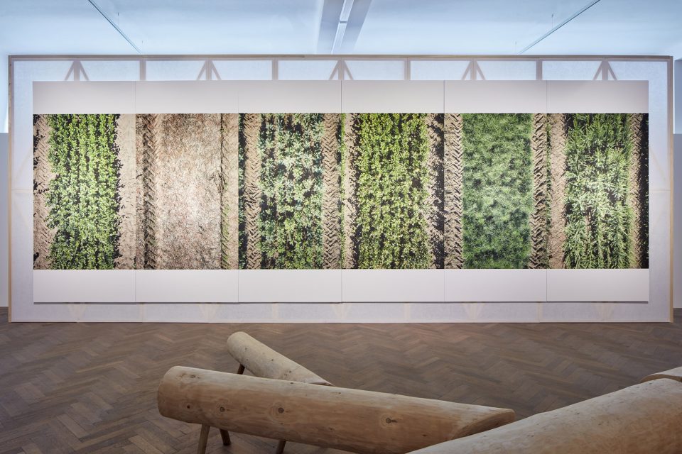 making of a forest exhibition design by mjolk architekti