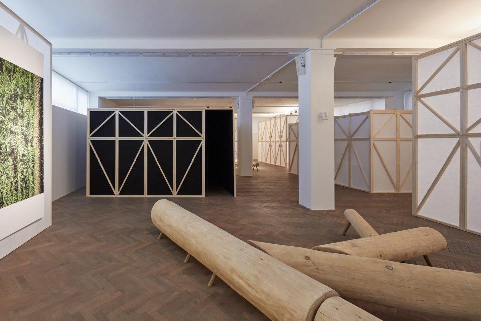 making of a forest exhibition design by mjolk architekti