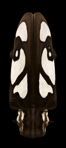 Mask Totem by Pascal GOET