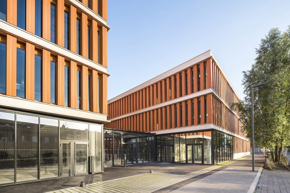 THE DOGE building by Atelier TARABUSI
