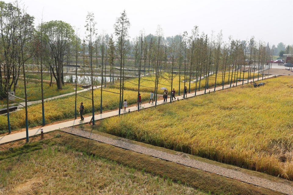 Chengtoushan Turen