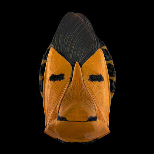Mask Totem by Pascal GOET