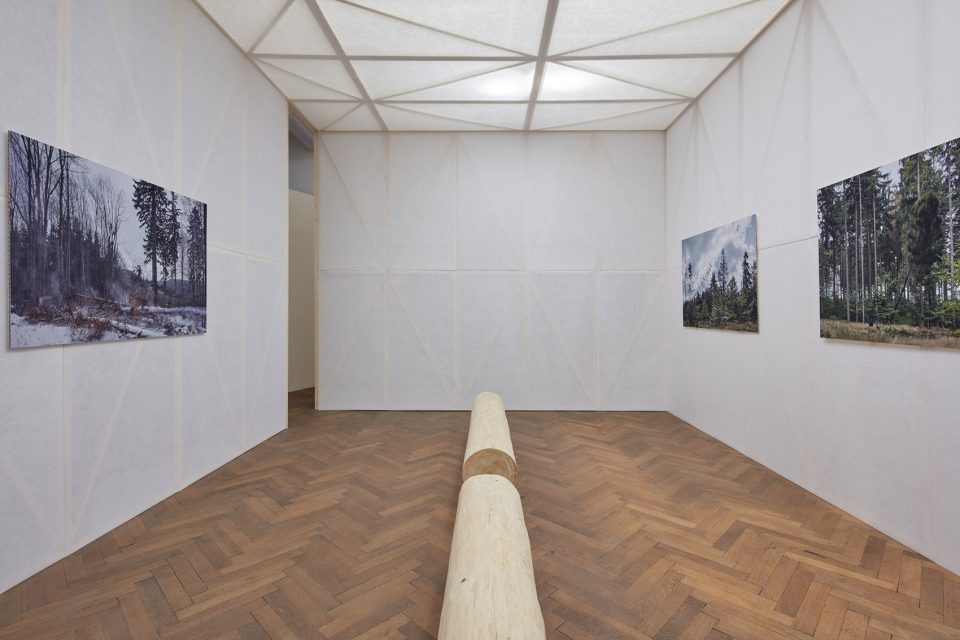 making of a forest exhibition design by mjolk architekti