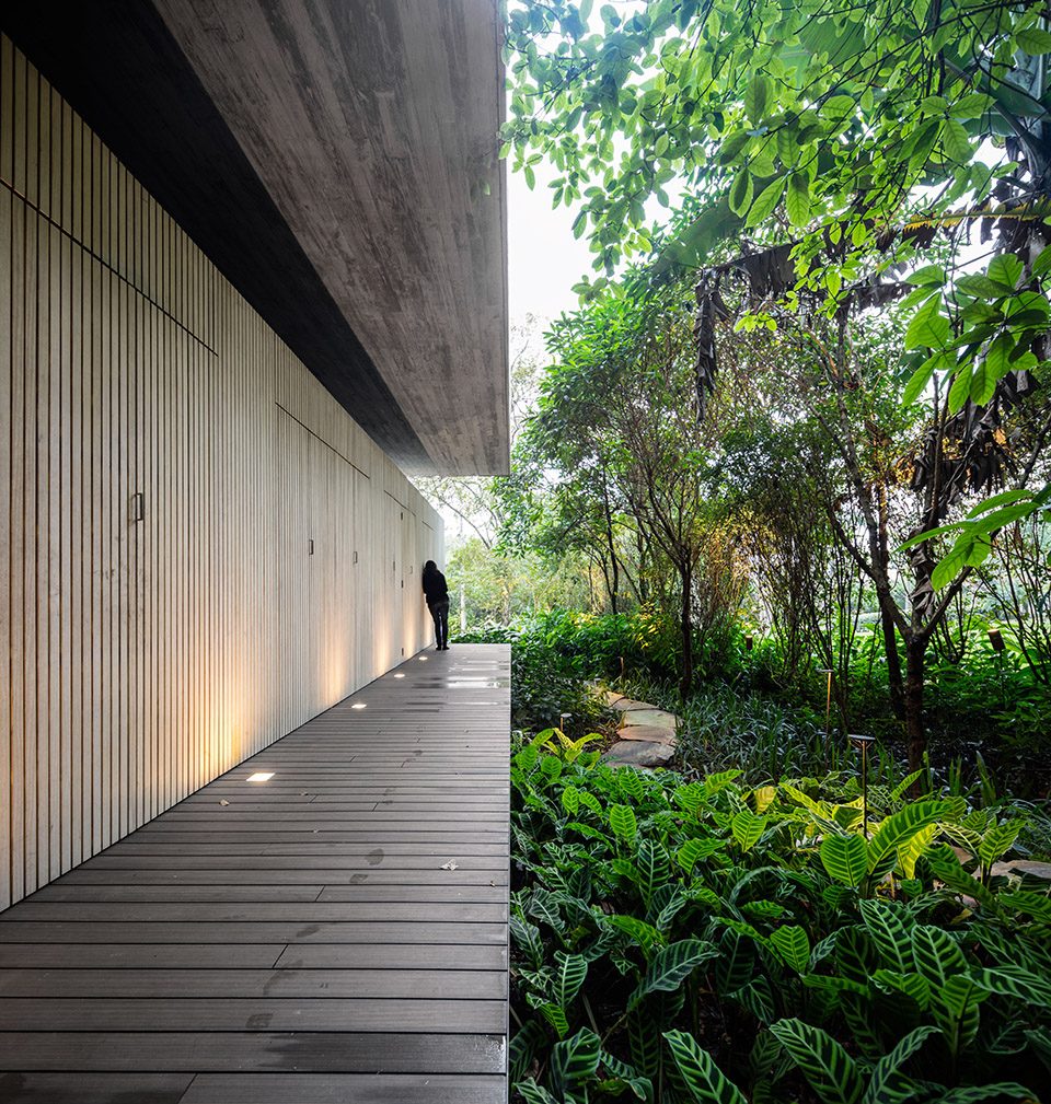 Jungle House by MK27