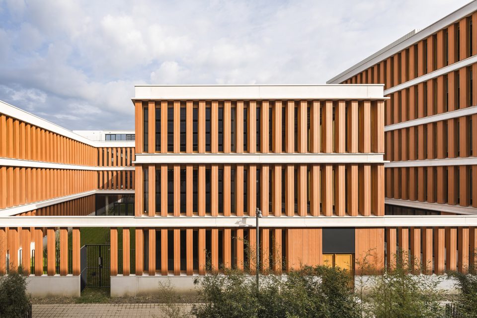 THE DOGE building by Atelier TARABUSI