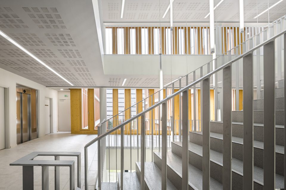 THE DOGE building by Atelier TARABUSI