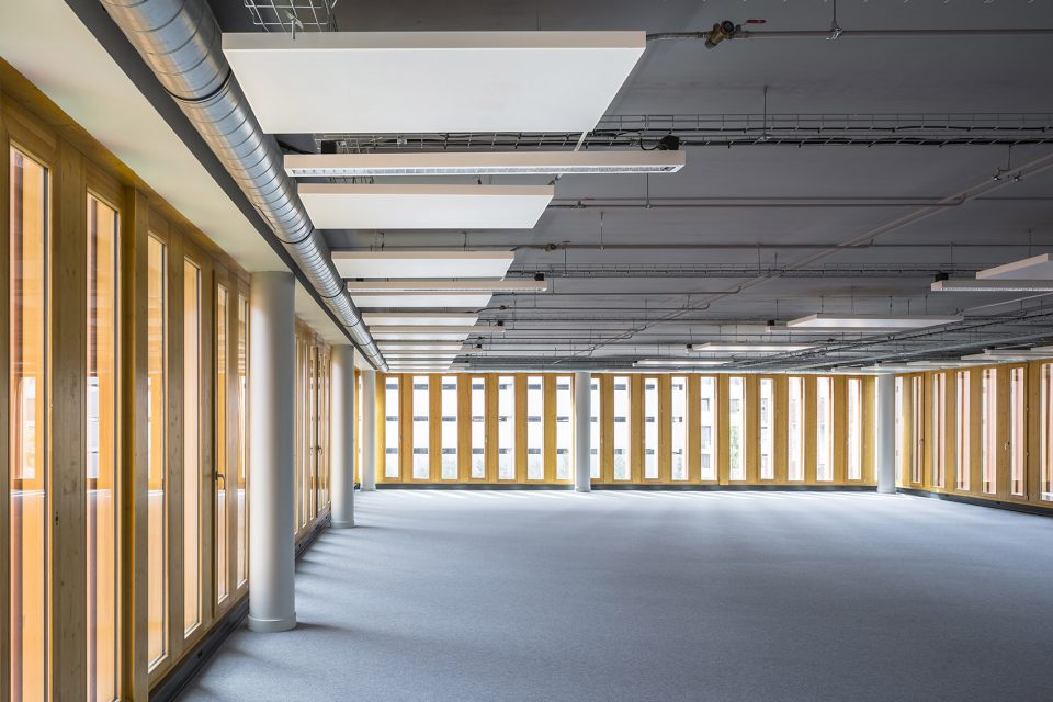 THE DOGE building by Atelier TARABUSI