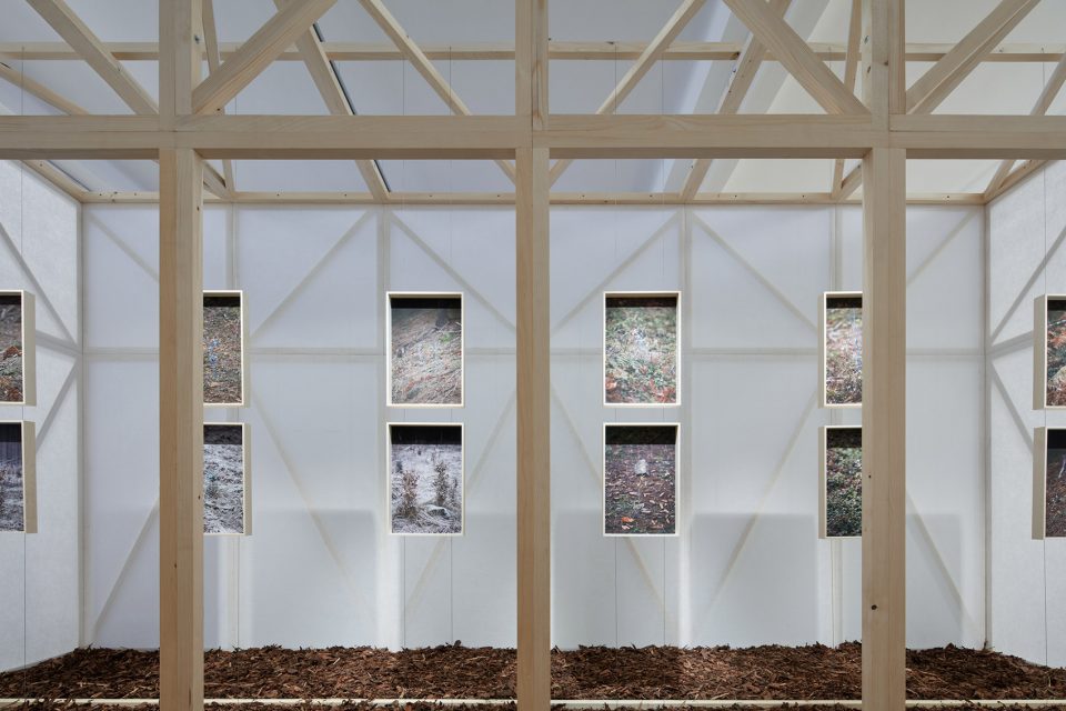 making of a forest exhibition design by mjolk architekti