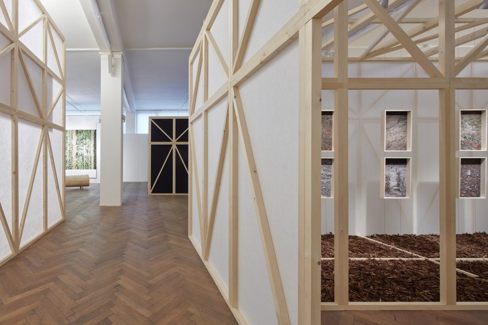 making of a forest exhibition design by mjolk architekti