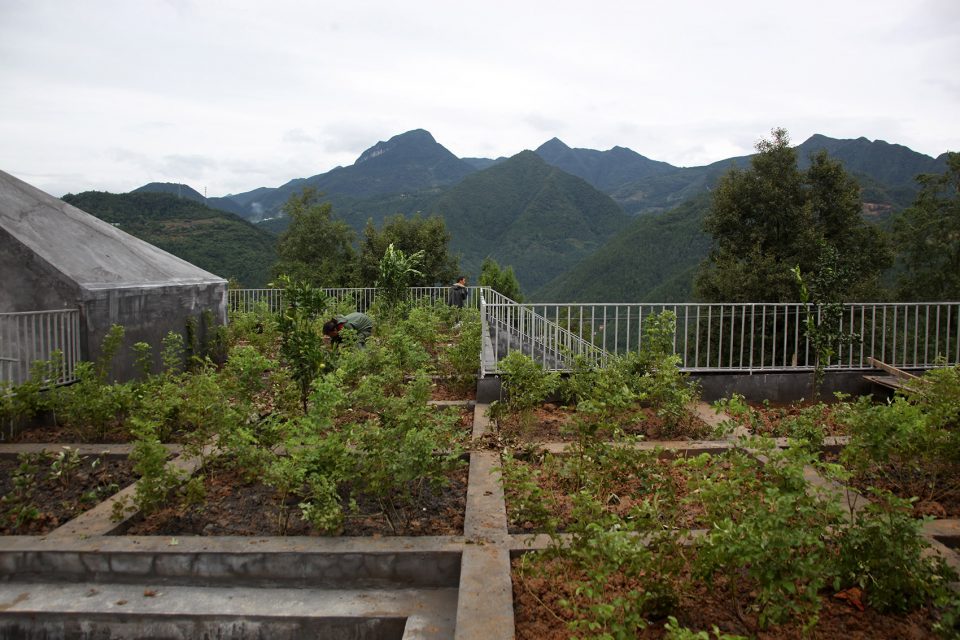 Jintai Village Reconstruction By Rural Urban Framework
