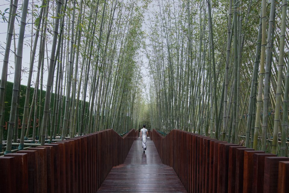 qinshan by Rand Design Associates