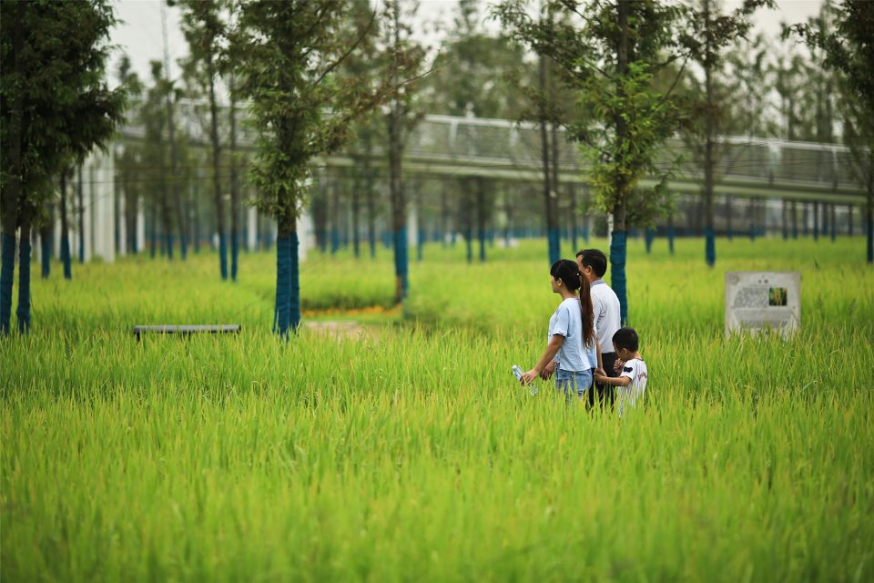 Chengtoushan Turen