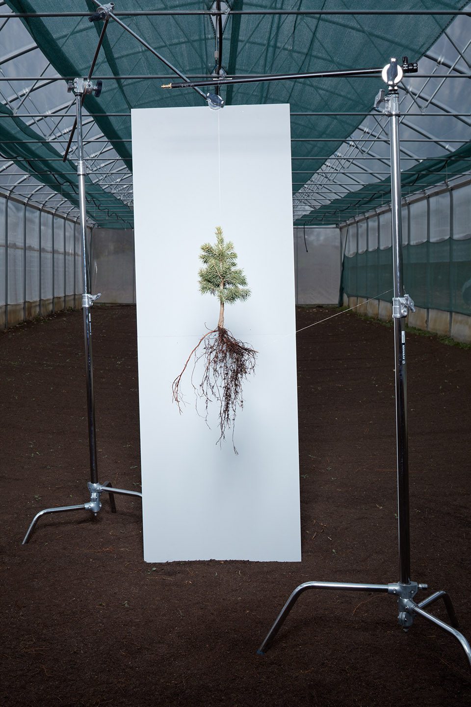 making of a forest exhibition design by mjolk architekti