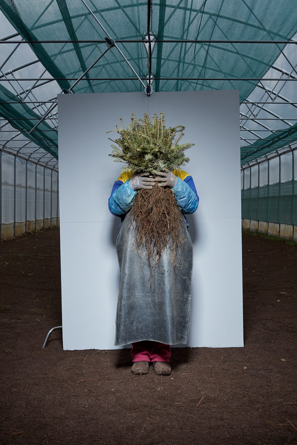 making of a forest exhibition design by mjolk architekti