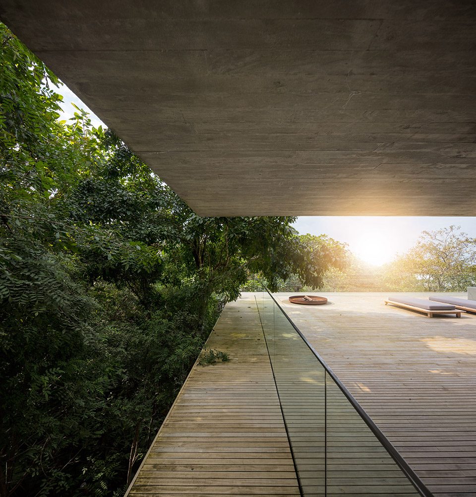 Jungle House by MK27