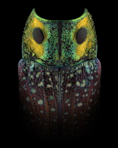 Mask Totem by Pascal GOET