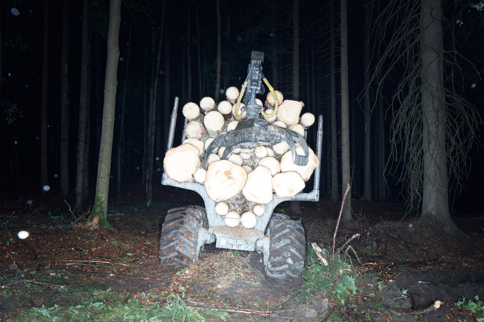 making of a forest exhibition design by mjolk architekti
