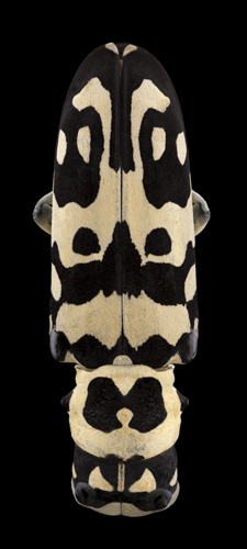 Mask Totem by Pascal GOET