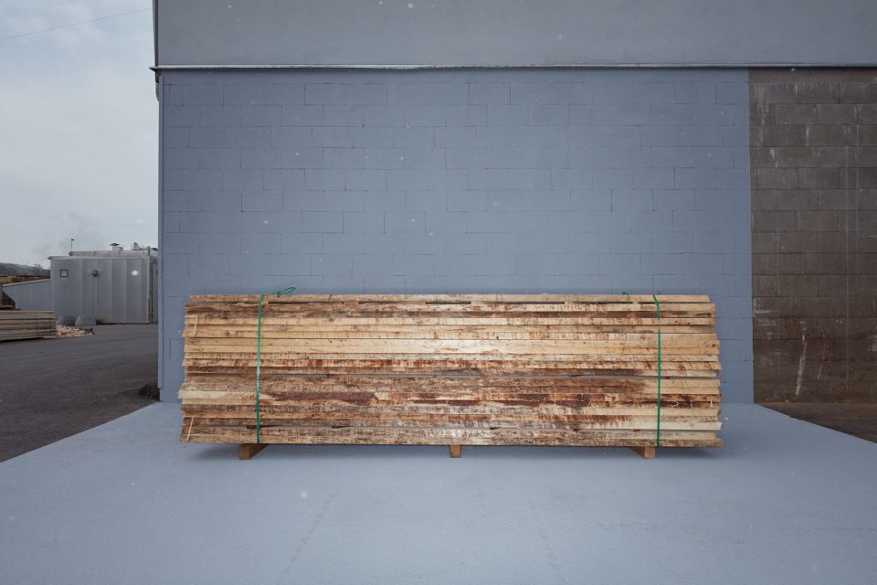 making of a forest exhibition design by mjolk architekti