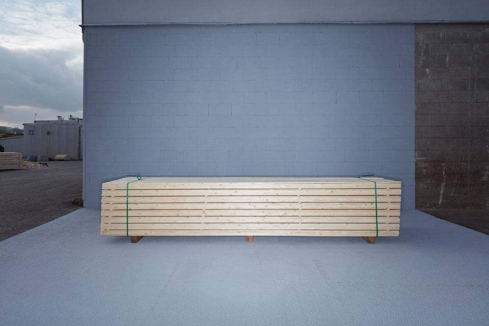 making of a forest exhibition design by mjolk architekti