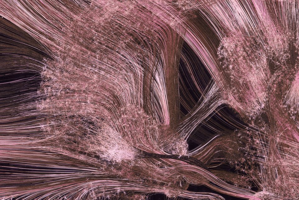 Basal Ganglia Greg Dunn
