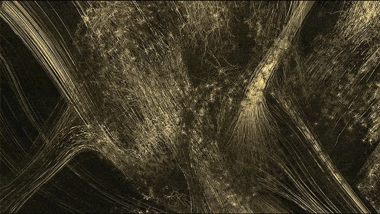 自我映射 – 艺术呈现神经世界 / greg dunn