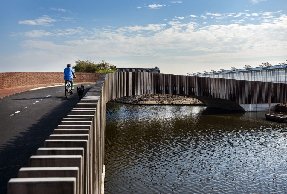 external1 Raymond Rutting bat bridge next