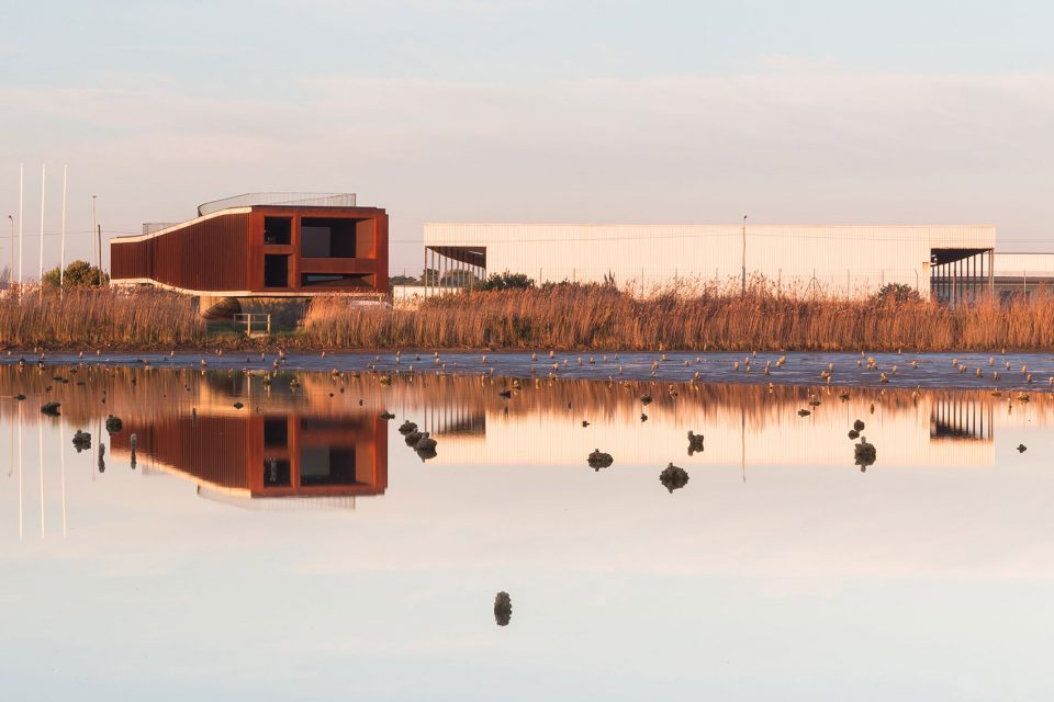 . the surrounding-machado costa observatory