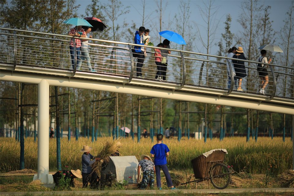 Chengtoushan Turenjpg