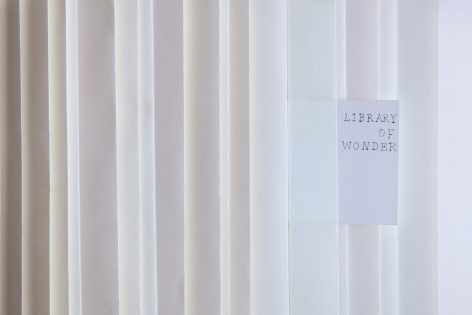 library of wonder by changliu