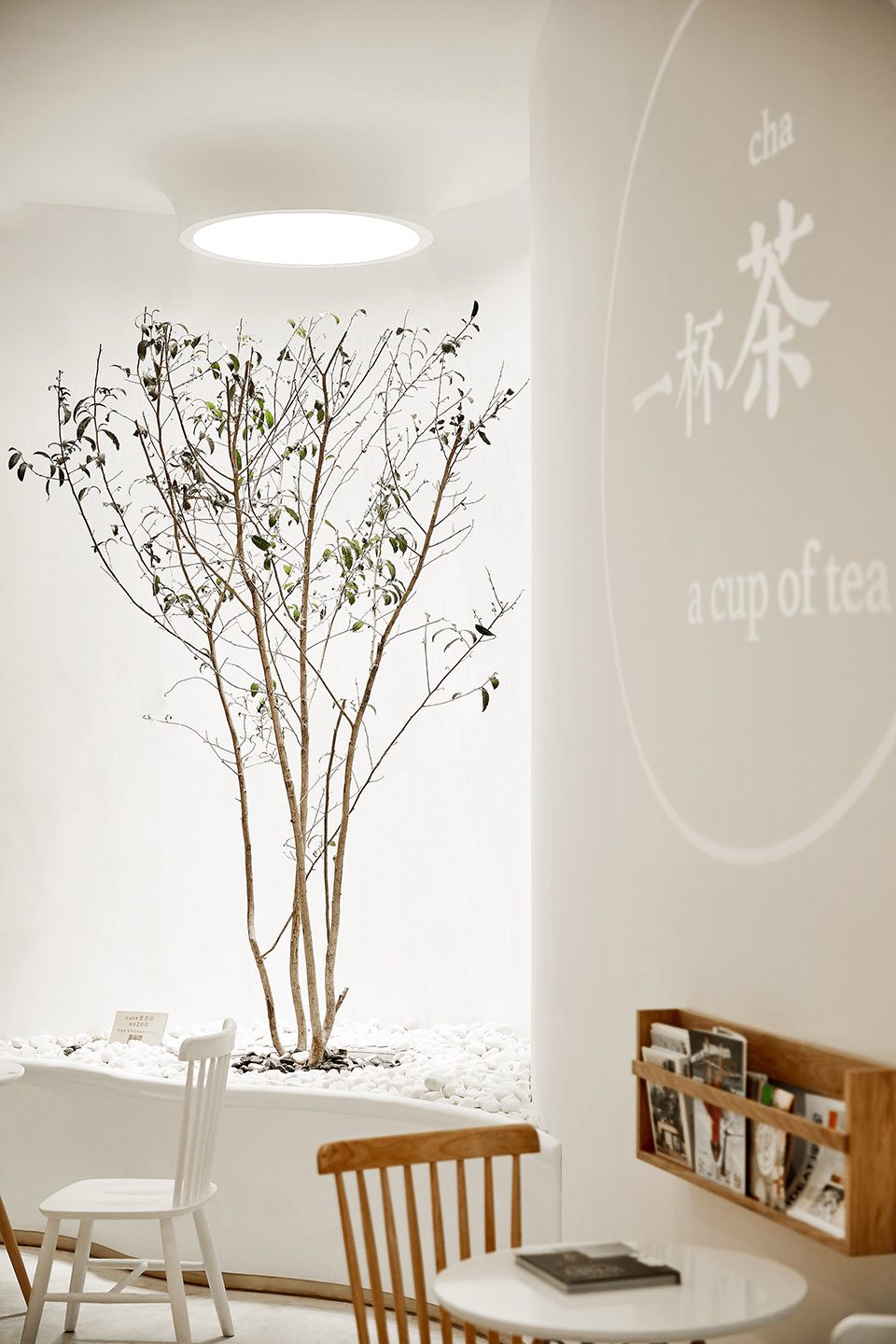 An Open Tea Box DPD