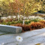 2017 ASLA 住宅设计类荣誉奖：东北港，沙漠山上的景观复原，美国 / Stephen Stimson Associates Landscape Architects, Inc.